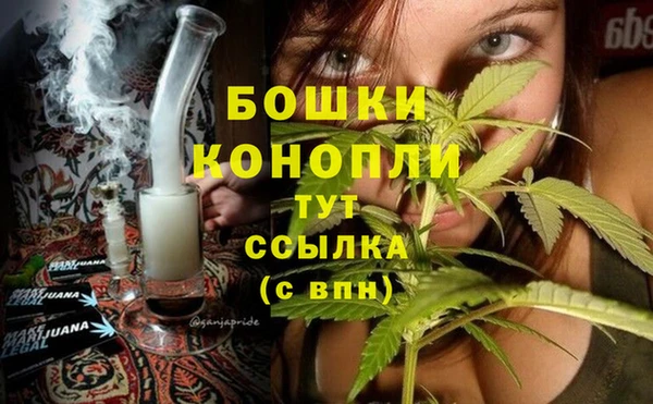 PSILOCYBIN Вяземский